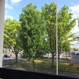2014-05-09-07-48-54