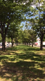2014-08-06-13-24-50