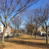 2014-11-18-13-32-51