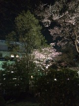 2014-04-12-21-01-13