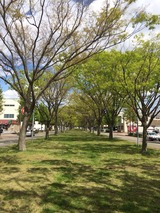 2014-05-02-13-21-26
