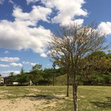 2014-05-18-14-22-09