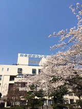 2014-04-12-13-28-24
