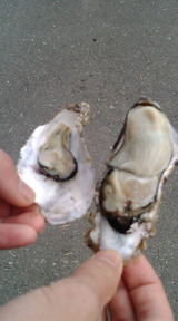 9bcc8f1a.jpg