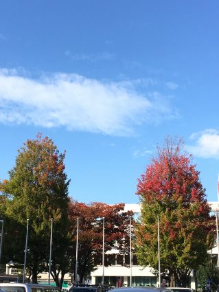 img_7064