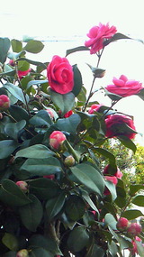 b3222b3c.jpg