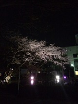 2014-04-12-21-01-06