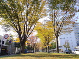 c2da0561.jpg