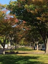 2014-10-10-13-25-32