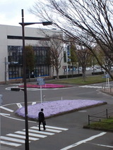 e548269c.jpg
