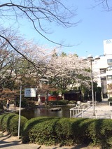 2014-04-12-13-28-50