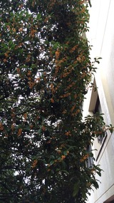 2014-10-06-14-40-01